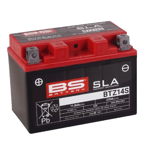 PictureAltAttribute - SLA-BTZ14S-300638-1-bat-LD-jpg